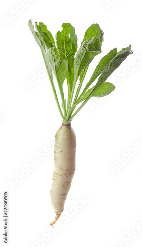 daikon radishes isolated on white background photo