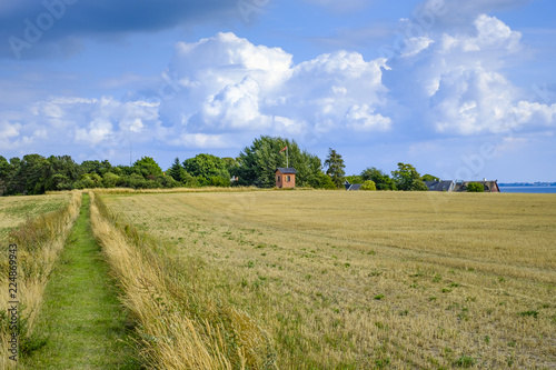 Nyord Island, Denmark, Scandinavia, Europe