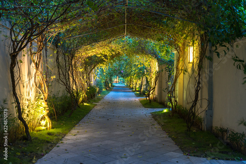 Garden path in resort with warm light and trees on side at evening  Garden Decoration.