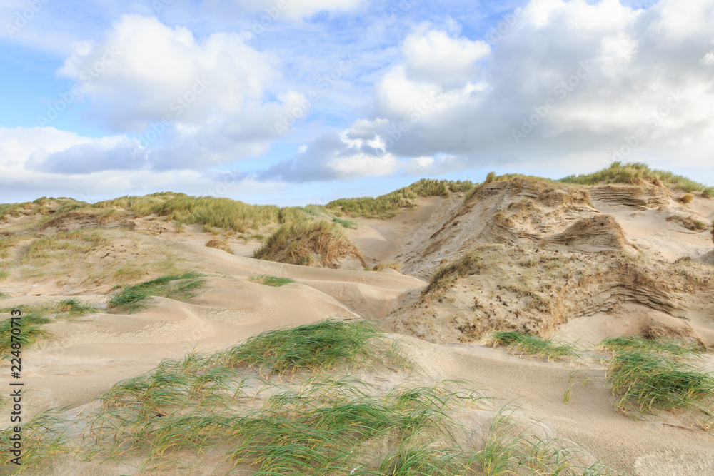 Dune valleys with deep wind holes carved out by heavy storm with swaying marram grasses with scattered clouds against blue sky