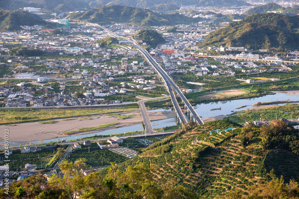 Fototapeta premium みかんの丘からの眺望