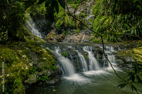 Fototapeta Naklejka Na Ścianę i Meble -  Beautiful cascade in forest