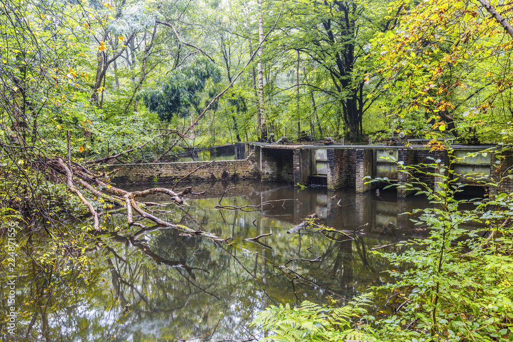 Watercourses with  remnants of hydraulic experimental installations in the Waterloopbos in the Dutch province of Flevoland