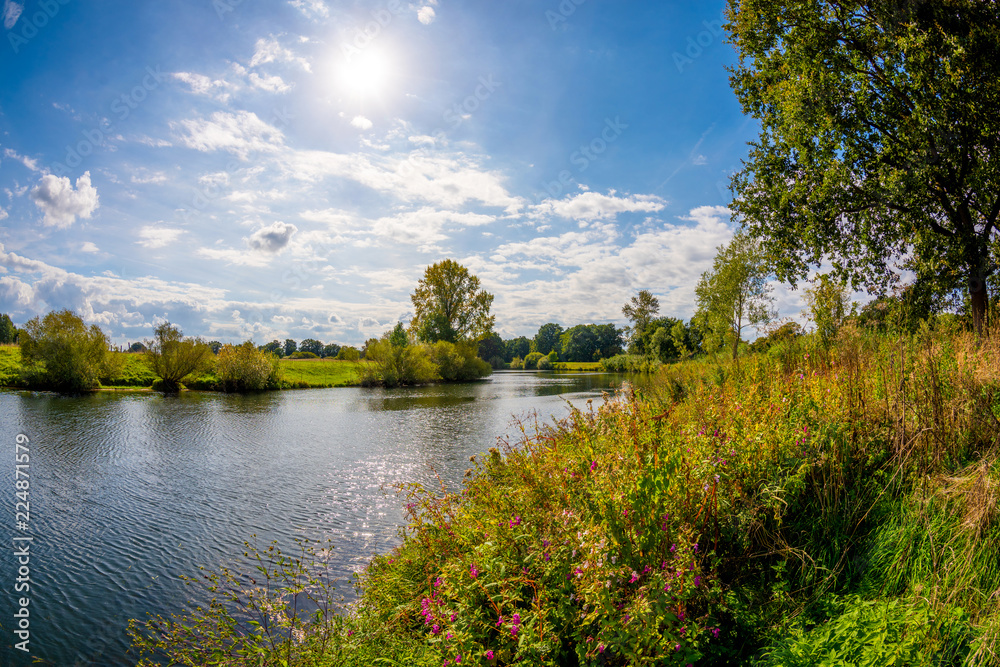 Fototapeta Letni krajobraz z rzeką, drzewami i łąkami w jasnym słońcu