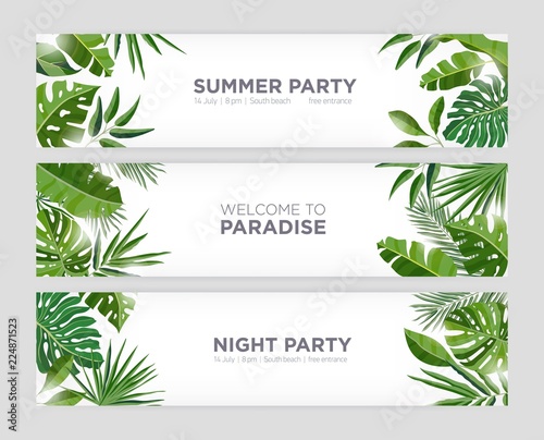 Collection of horizontal web banner templates with green tropical foliage of exotic jungle plants and trees and place for text on white background. Colorful natural realistic vector illustration.