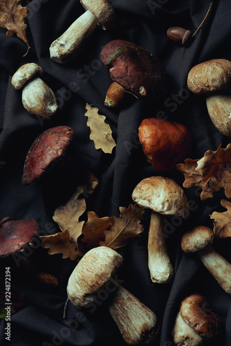 top view of various raw edible mushrooms and dry leaves on black fabric