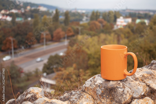 A cup of coffee on a background of a green city
