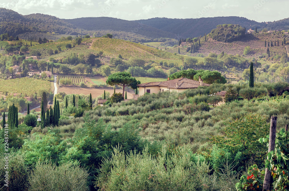 Fototapeta premium Landscape of Tuscany with garden trees, mansion, green hills and pines. Italian countryside at sunrise in province of Siena, Italy