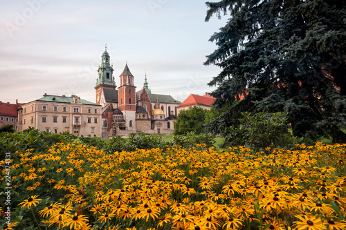 Wawel Castle yard