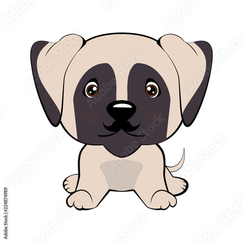 Icon dog breed dog. The puppy has a curvy mustache photo