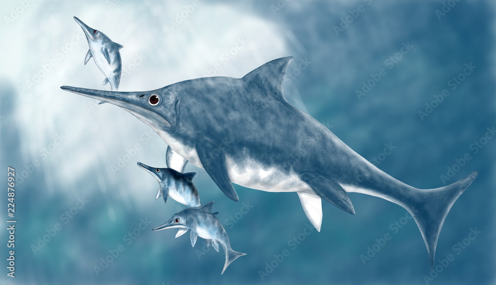 Obraz premium ステノプテリギウス、魚竜目の海棲爬虫類。体長は3メートル程度だが、最も水中に適応した現代のイルカのようなフォルム。残された化石では後頭部が盛り上がっている。イラストでは背びれ迄滑らかな盛り上がりに描いた。ジュラ紀前期から中期にかけてヨーロッパの海域に生息した。卵生だがメスの体内で孵化し、海中で体外に産み落としたと思われる。母親と3頭の幼体を描いた。背景を描いている。