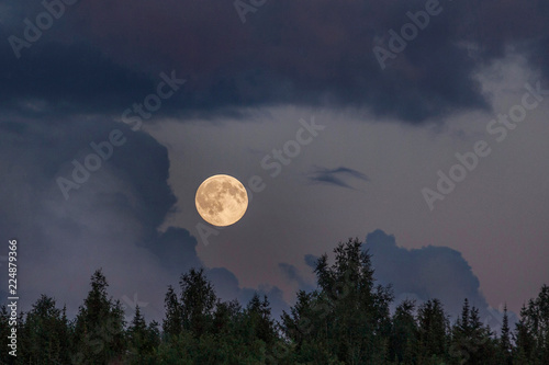 The moon in the sky
