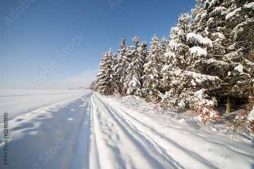 Countryside road through winter field with forest. Winter snow landscape