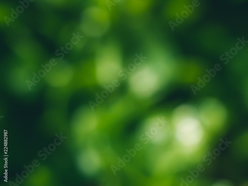 Defocused vibrant green plants leaves bokeh background