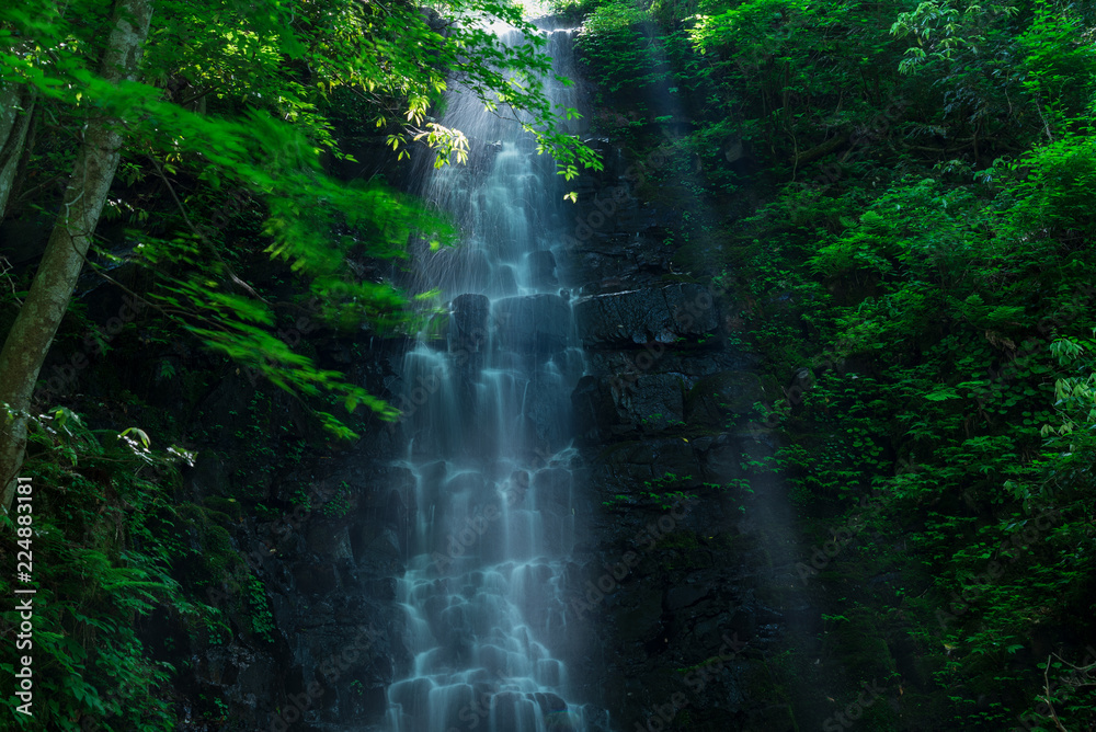 Obraz premium 山からの恵み