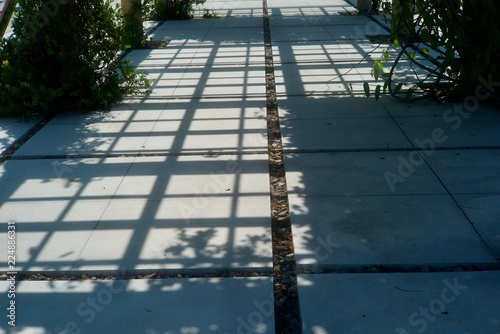 light and shadow