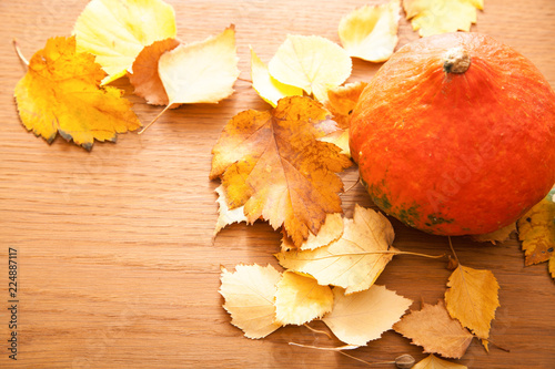 Autumn composition with yellow leaves and pumpkin