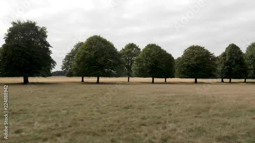 Drive plate-Side view driving past parallel rows of trees on the outskirts of the Blenheim Palace estate on a cloudy England day. photo