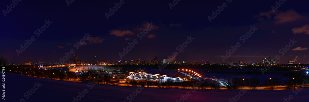 Winter panorama at night