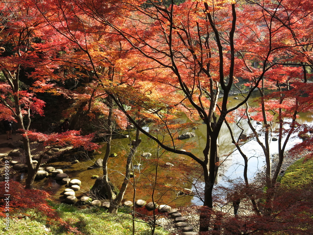 紅葉が美しい秋の小石川後楽園 清水観音堂跡から見た大堰川 Koishikawa Korakuen Gardens Oigawa Stock Photo Adobe Stock
