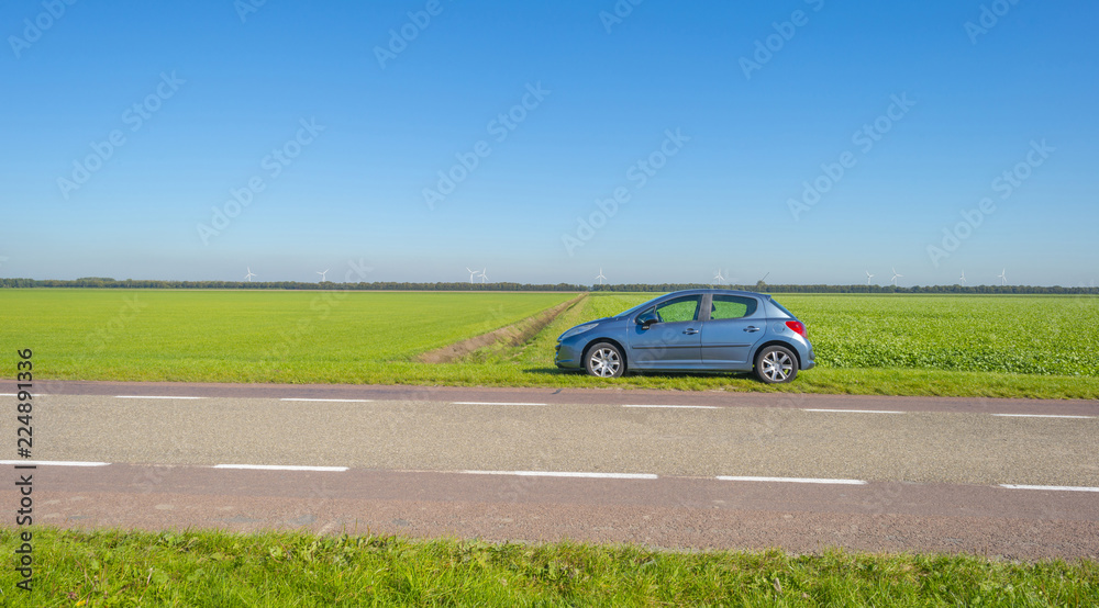 Countryside road in green farmland below a blue sky at fall Countryside road in green farmland below a blue sky at fall