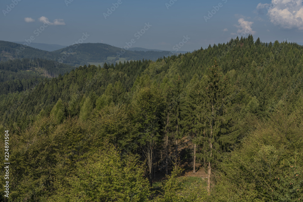 Forest in Jeseniky mountains in summer nice day Forest in Jeseniky mountains in summer nice day