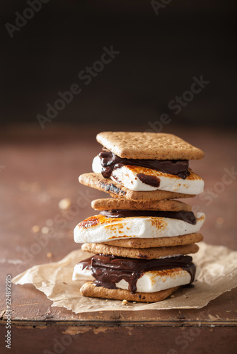 Foto homemade marshmallow s'mores with chocolate on crackers