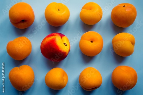 The best, unlike the others.