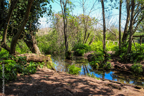 Photography The Caffarella park in the city of Rome, Appia Antica, Almone river