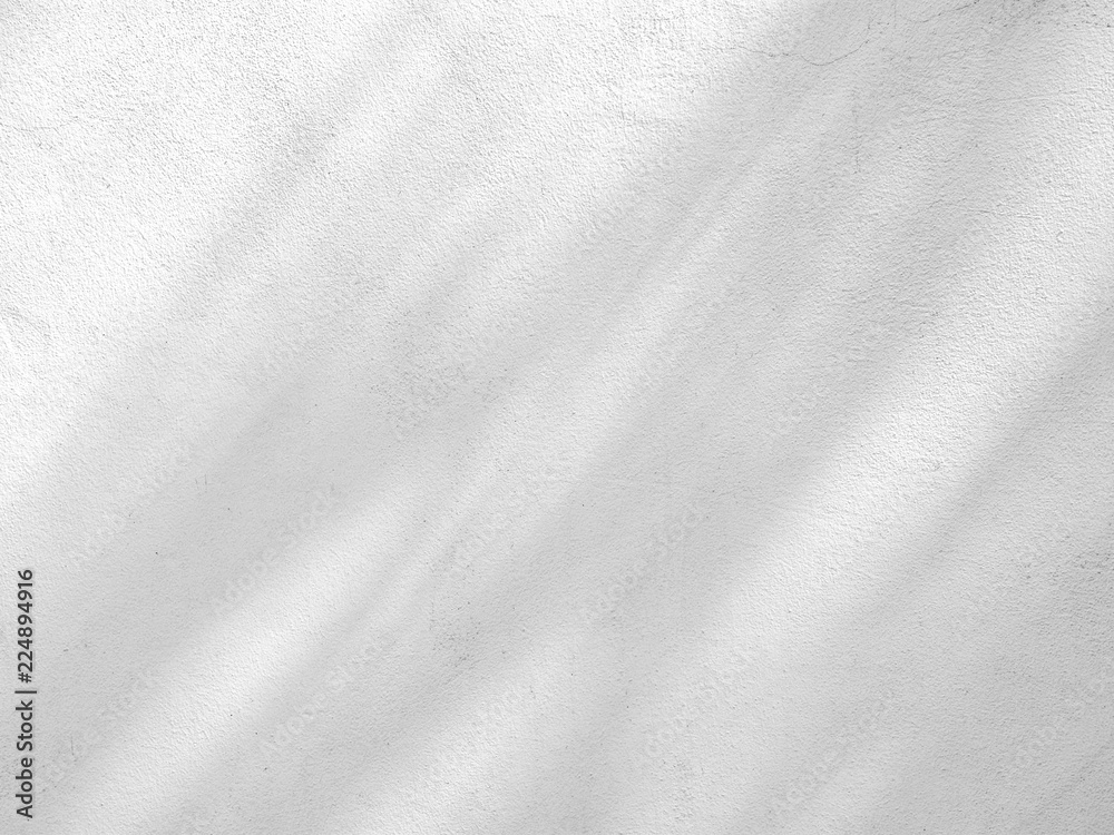 shadow of branches and leaves on white cement wall shadow of branches and leaves on white cement wall