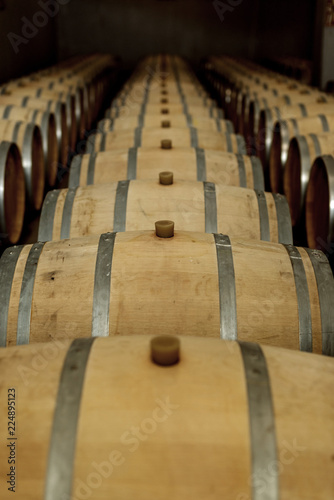 Wine oak barrels in which red wine is aged in the cellar of the winery. Concept of the production of wine