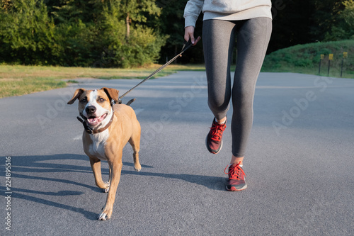 Woman in running suit jogging with her dog. Young fit female and staffordshire terrier dog doing morning walk in a park photo