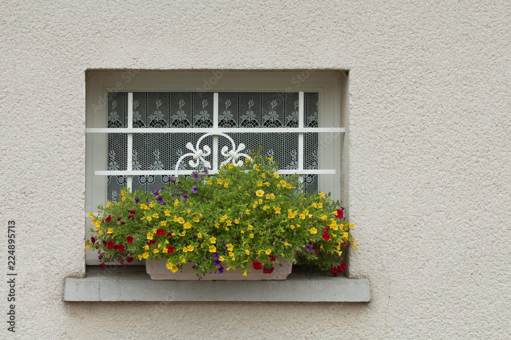 Window with pot of flowers in France