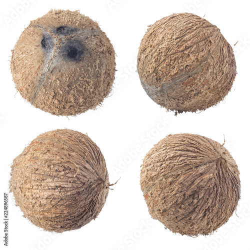 coconuts isolated on gary background clipping path