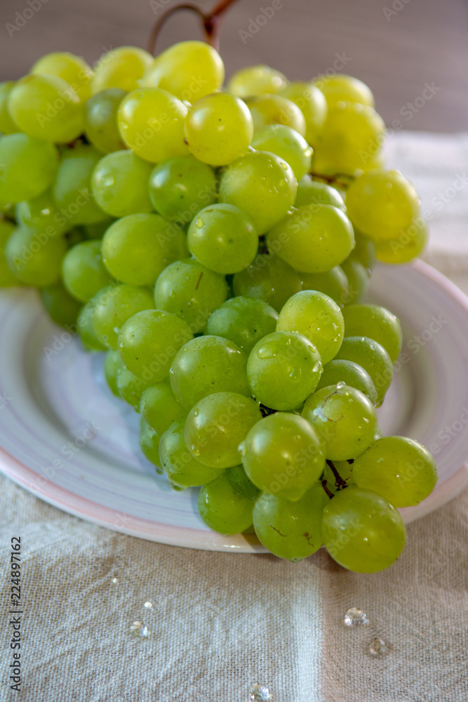 Ripe organic vine of white table seadless grape from Italy, new harvest
