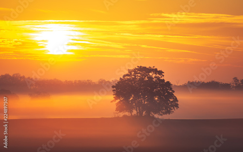 Golden sunrise on the meadow with trees in the autumn morning fog.