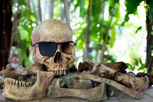 Skull which has blindfold single eye on pile of bones and  wooden table in the green gardent © tatui1761