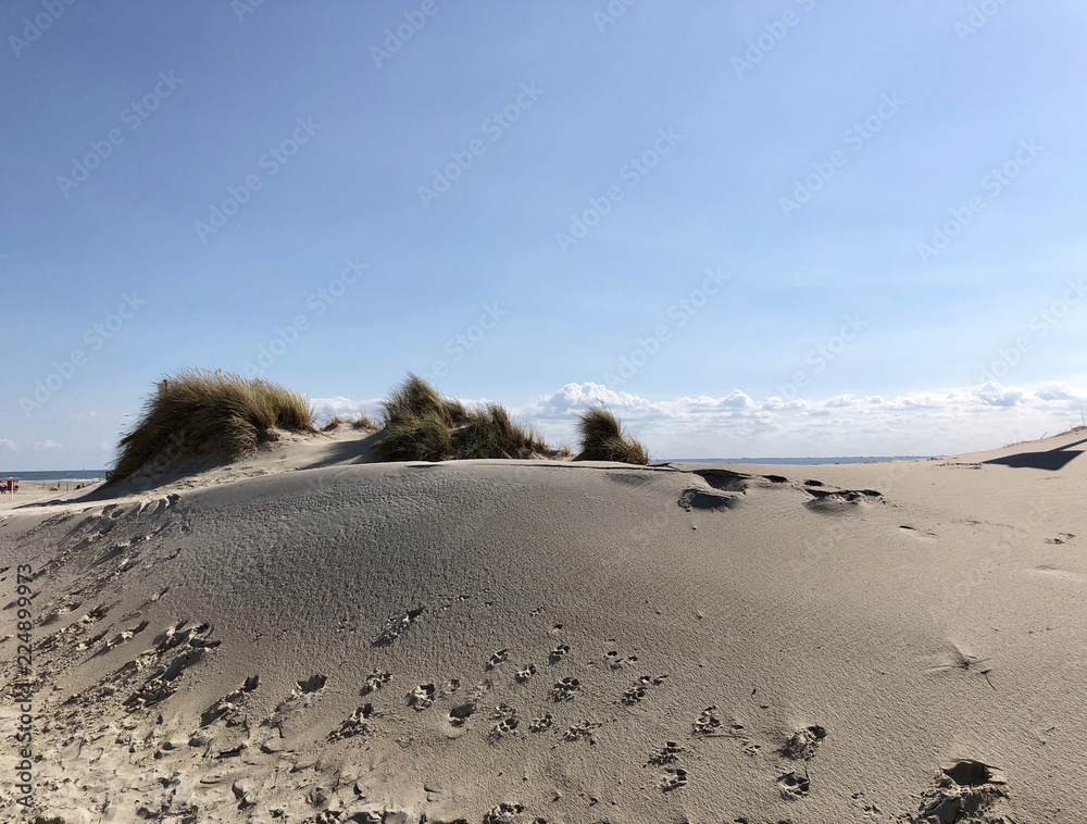 Sand dunes on Borkum island
