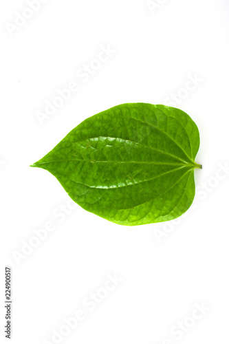 Isolated leaves on the white background. it is Beauty.