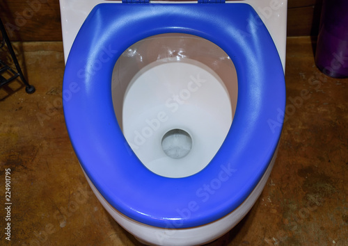 "Into the Deep" White Toilet with Cobalt Blue Seat