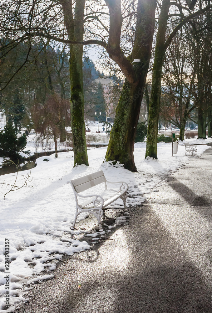 Winter in  park - Marianske Lazne (Marienbad) - great famous Bohemian spa town in the west part of the Czech Republic (region Karlovy Vary)
