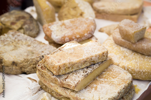 Various types of hard cheese with mold. 