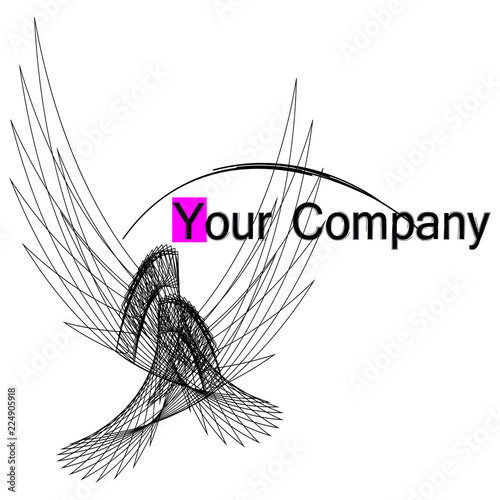Black and white graphic wings - concept logo