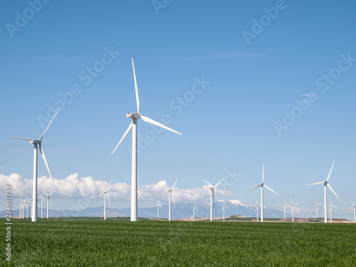 PARQUE EOLICO CON EL MONCAYO AL FONDO