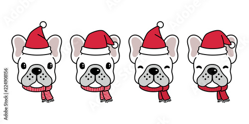 dog vector french bulldog Christmas Santa Claus Xmas hat scarf cartoon character logo icon illustration white