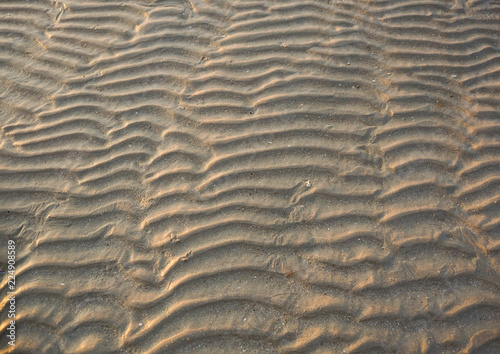 beach ripples form are made from thecircular water movement pattern of water molecules.