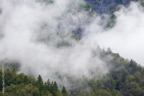 Réserve naturelle de Sixt Fer A cheval