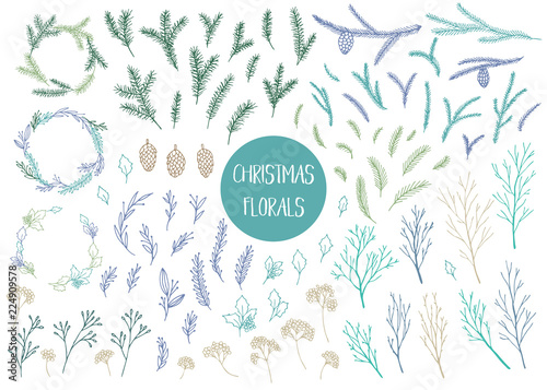 Chrismtas branches and plants.