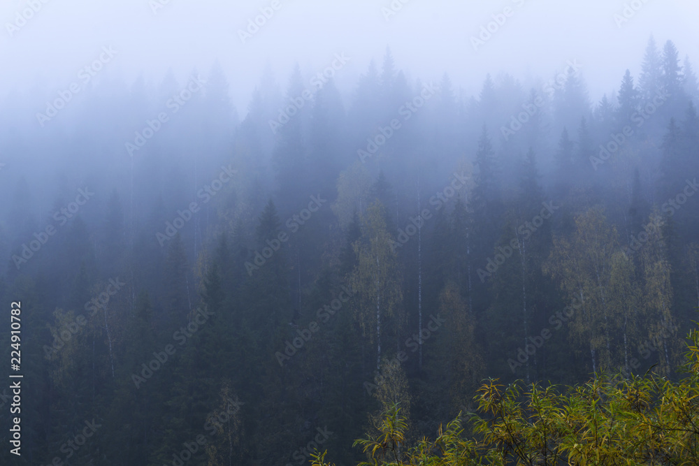 Blurred landscape - gloomy mountain forest covered with fog