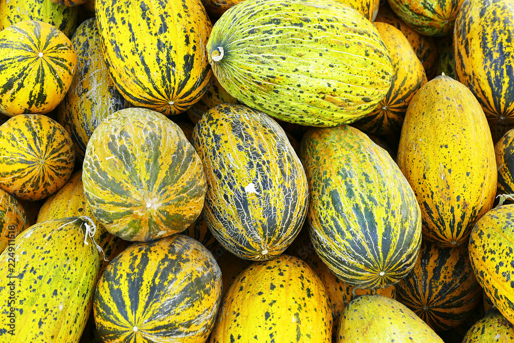 Ripe melons, natural and organic yellow melons, a large amount of melon pile,
